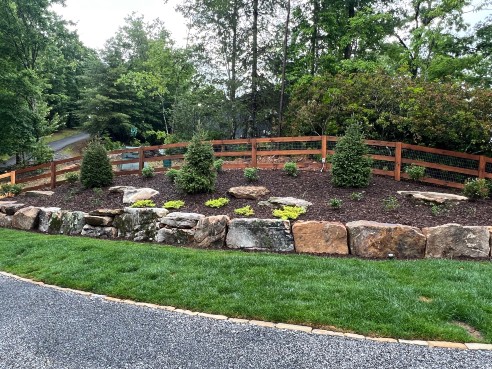 New Planted Trees