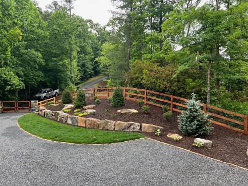 New Planted Shrubs