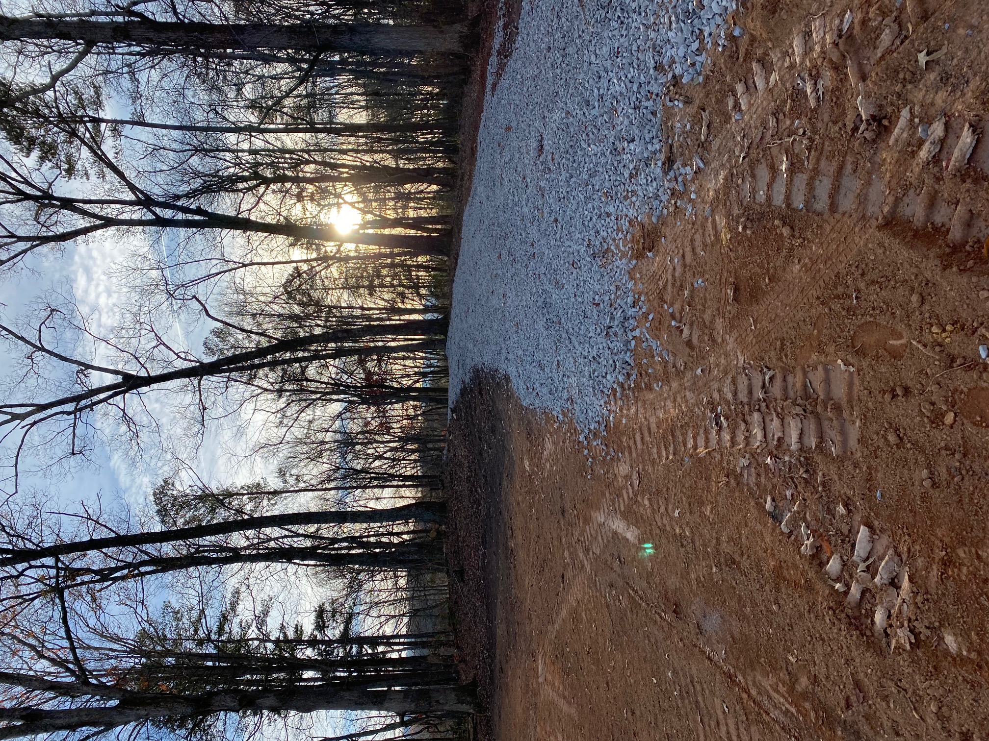 Grading & Excavation